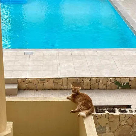 Beautiful Flat With Swimming-Pool & Seaview Apartment St. Paul's Bay Exterior photo