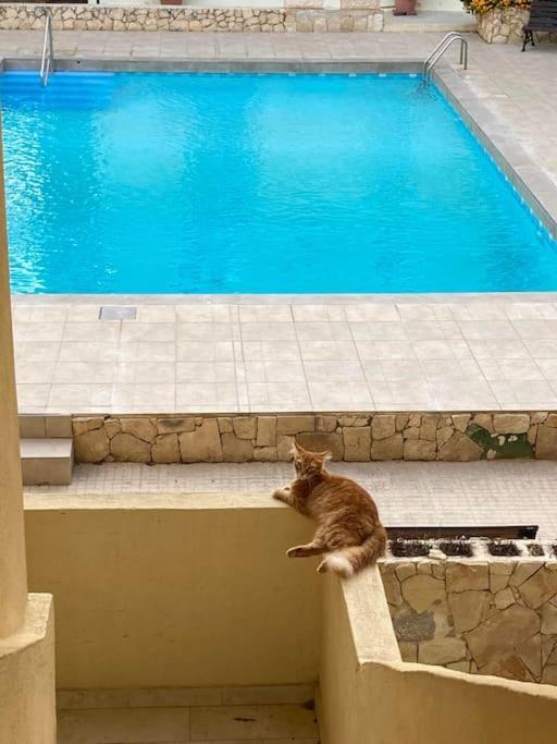 Beautiful Flat With Swimming-pool & Seaview Apartment *